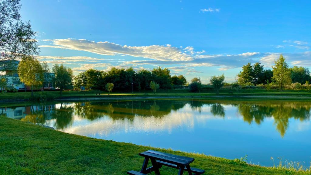 WhatsApp Image 2020-10-19 at 08.50.58 (1)